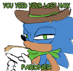 Size: 835x815 | Tagged: safe, artist:sirbasil, sonic the hedgehog, hedgehog, bandana, cowboy, english text, featured image, hat, male, meme, simple background, solo, white background