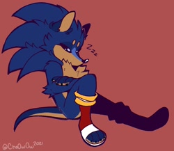 Size: 1022x886 | Tagged: safe, artist:cha0w0w, sonic the hedgehog, hedgehog, alternate universe, arms folded, beanbrows, claws, eyes closed, fluffy, fur markings, male, paws, red background, simple background, sitting, sleeping, solo, trans male, transgender, zzz