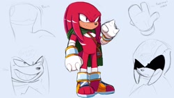 Size: 1920x1080 | Tagged: safe, artist:justin61894350, knuckles the echidna, bag, cloak, frown, one fang, redesign, solo