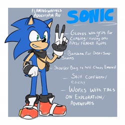 Size: 2048x2048 | Tagged: safe, artist:flamingwaffels, sonic the hedgehog, alternate universe, au:post-apocolypse, bag, bandana, border, character name, english text, grey background, simple background, smile, standing, v sign