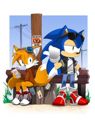 Size: 786x1017 | Tagged: safe, artist:bleedman, miles "tails" prower, sonic the hedgehog, fox, hedgehog, asymmetrical legwear, blue eyes, blue fur, glasses, glasses on head, goggles, goggles on head, green eyes, hoodie, jacket, jeans, male, orange fur, pants, shoes, single leg pantyhose, smartphone, sneakers, socks, sunglasses, t-shirt