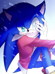 Size: 1138x1533 | Tagged: artist needed, safe, sonic the hedgehog, hedgehog, blue fur, fingerless gloves, gloves, green eyes, jacket, male, shoes