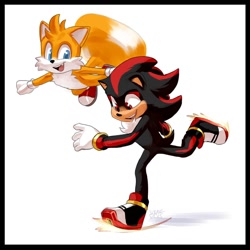 Size: 1080x1080 | Tagged: safe, artist:solar socks, miles "tails" prower, shadow the hedgehog, fox, hedgehog, black fur, blue eyes, flying, gloves, male, movie style, orange fur, red eyes, red fur, shoes, skating, socks