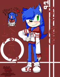 Size: 1080x1382 | Tagged: safe, artist:kagechu2005, oc, oc:ryu the hedgehog, hedgehog, blue fur, green eyes, hoodie, male, shoes, socks