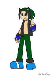 Size: 1042x1533 | Tagged: safe, artist:noooonswing, human, ashura the hedgehog, black hair, fingerless gloves, green eyes, green hair, humanized, male, pants, shoes, socks, vest