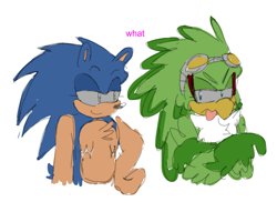 Size: 2048x1562 | Tagged: safe, artist:blehhhh36, jet the hawk, sonic the hedgehog, bird, hedgehog, bust, chest fluff, dialogue, duo, duo male, english text, eyelashes, frown, gay, gloves off, goggles, grey sclera, hand on hip, hawk, jet x sonic, lidded eyes, looking back at them, male, males only, shipping, simple background, smile, tongue out, top surgery scars, white background