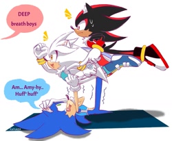 Size: 1281x1056 | Tagged: safe, artist:kaiyuki04, shadow the hedgehog, silver the hedgehog, sonic the hedgehog, dialogue, yoga