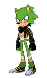 Size: 363x600 | Tagged: artist needed, safe, scourge the hedgehog, hedgehog, blue eyes, fingerless gloves, glasses, gloves, green fur, jacket, male, shoes, socks, sunglasses