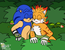 Size: 2048x1575 | Tagged: safe, artist:moontigerange1, mangey, miles "tails" prower, sonic the hedgehog, sonic prime, 2023, aged up, bush, duo, eyes closed, gay, juice, older, shipping, smile, songey, sonic x tails, strawberry