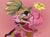 Size: 1500x1100 | Tagged: dead source, safe, artist:m0i_chi, amy rose, surge the tenrec, 2022, blushing, catch, english text, exclamation mark, heart, holding hands, holding them, lesbian, looking at each other, question mark, redraw, shipping, standing, surgamy