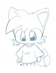 Size: 1097x1417 | Tagged: safe, artist:foxesdofly, miles "tails" prower, 2024, chibi, cute, frown, line art, looking ahead, looking offscreen, meme, monochrome, shirt, simple background, smol, solo, tailabetes, white background, words on a shirt