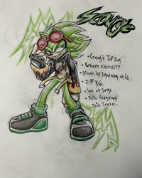 Size: 1080x1350 | Tagged: safe, artist:sonictale_official, scourge the hedgehog, hedgehog, blue eyes, fingerless gloves, glasses, glasses on head, gloves, green fur, jacket, male, shoes, sunglasses, traditional media