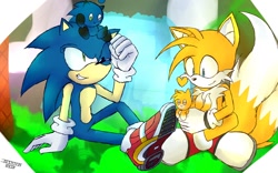 Size: 1024x640 | Tagged: safe, miles "tails" prower, sonic the hedgehog, chao, fox, hedgehog, blue eyes, blue fur, gloves, green eyes, group, male, orange fur, shoes, soap shoes, socks