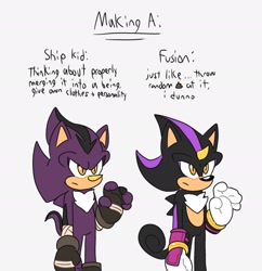 Size: 1875x1934 | Tagged: safe, artist:aridombo, oc, hedgehog, hybrid, 2024, chameleon, duo, english text, fankid, flat colors, frown, fusion, fusion:espio, fusion:shadow, grey background, looking offscreen, magical gay spawn, parent:espio, parent:shadow, parents:shadpio, simple background, standing