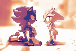 Size: 1800x1200 | Tagged: safe, artist:ochi06, shadow the hedgehog, silver the hedgehog