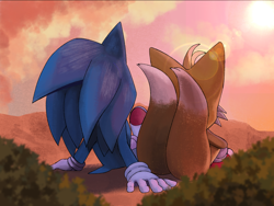 Size: 2474x1864 | Tagged: safe, artist:kaylagreen00, miles "tails" prower, sonic the hedgehog, abstract background, bush, clouds, duo, from behind, lens flare, looking offscreen, outdoors, sitting, sunrise