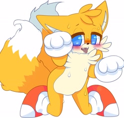 Size: 2928x2783 | Tagged: suggestive, artist:xglitchy-tailsx, miles "tails" prower, 2019, blushing, drooling, kneeling, looking at viewer, paw pose, posing, saliva, simple background, solo, sweat, sweatdrop, tongue out, white background