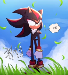 Size: 1861x2048 | Tagged: safe, artist:tamjeong_sonic, shadow the hedgehog, clenched fists, daytime, full body, grass, korean text, outdoors, solo, standing, thought bubble, wind