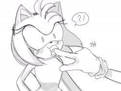 Size: 2048x1536 | Tagged: safe, artist:tamjeong_sonic, amy rose, sonic the hedgehog, amy x sonic, duo, feeding, food, greyscale, korean text, monochrome, shipping, simple background, solo focus, straight, white background