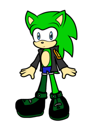 Size: 774x1032 | Tagged: safe, artist:noooonswing, scourge the hedgehog, hedgehog, asymmetrical legwear, blue eyes, green fur, jacket, male, shoes, shorts, single leg pantyhose, solo