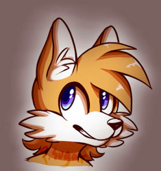 Size: 462x491 | Tagged: safe, artist:phantom-sugar, miles "tails" prower, 2014, ear fluff, gradient background, headshot, looking up, signature, smile, solo