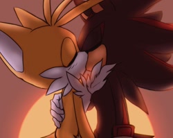 Size: 1544x1232 | Tagged: safe, artist:yobadboys, miles "tails" prower, shadow the hedgehog, 2022, abstract background, duo, eyes closed, gay, holding them, kiss, shadails, shipping, standing