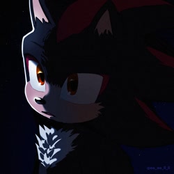 Size: 1200x1200 | Tagged: safe, artist:oo_oo_ll_ll, shadow the hedgehog, sonic the hedgehog 3 (film), 2024, abstract background, cheek fluff, chest fluff, ear fluff, looking offscreen, mouth open, nighttime, outdoors, solo, standing, star (sky)