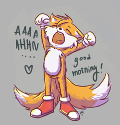 Size: 839x869 | Tagged: safe, artist:maxyg, miles "tails" prower, 2020, arms up, english text, eyes closed, grey background, heart, mouth open, signature, simple background, solo, standing, yawning