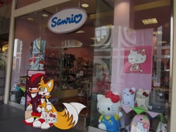 Size: 2000x1500 | Tagged: safe, artist:jhoycookie, miles "tails" prower, shadow the hedgehog, 2024, bag, cute, duo, frown, gay, hello kitty, holding something, meme, sanrio, shadails, shipping, smile, sonic characters walking into stores