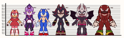 Size: 6697x2051 | Tagged: safe, artist:schnoodle, amy rose, blaze the cat, knuckles the echidna, rouge the bat, shadow the hedgehog, sonic the hedgehog, group