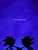 Size: 768x1024 | Tagged: safe, artist:cherry_linss, shadow the hedgehog, sonic the hedgehog, 2024, duo, english text, gay, holding hands, nighttime, shadow x sonic, shipping, silhouette, standing, star (sky)