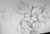 Size: 854x585 | Tagged: safe, artist:xxsjdoodlesxx, silver the hedgehog, sonic the hedgehog, hedgehog, 2017, blushing, character name, cute, duo, eyes closed, gay, heart, holding each other, kiss on cheek, male, pencilwork, shipping, silver x sonic, traditional media