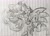 Size: 2048x1472 | Tagged: safe, artist:stupidfred0, miles "tails" prower, sonic the hedgehog, 2024, classic sonic, classic sonic (universe), classic tails, duo, flying, line art, lined paper, looking at viewer, pencilwork, sketch, smile, traditional media