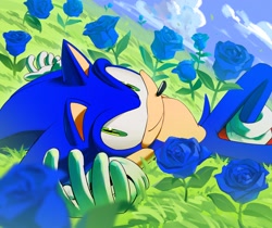 Size: 2048x1724 | Tagged: safe, artist:chaosrice, sonic the hedgehog, clouds, daytime, flower, grass, looking at viewer, lying down, outdoors, rose, smile, solo