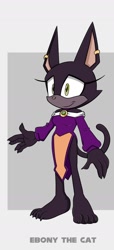 Size: 848x1857 | Tagged: safe, artist:windstarosprey, ebony the cat