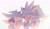Size: 2048x1194 | Tagged: safe, artist:pikative, shadow the hedgehog, silver the hedgehog, hedgehog, 2024, cape, cute, duo, eyes closed, finger under chin, flower bouquet, gay, holding hands, lavender, lidded eyes, looking at them, male, monochrome, pride, pride month, shadow x silver, shipping, simple background, smile, watermark, white background