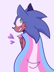 Size: 1536x2048 | Tagged: safe, artist:dizzyfish777, sonic the hedgehog, 2024, bisexual, bisexual pride, cape, heart, looking back, pride, purple background, signature, simple background, smile, solo, standing, top surgery scars, trans male, trans pride, transgender