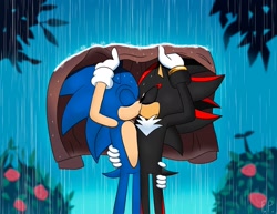 Size: 1426x1099 | Tagged: safe, artist:phoenixfeeart, shadow the hedgehog, sonic the hedgehog, 2024, blanket, bush, duo, eyes closed, gay, holding each other, holding something, kiss, leaf, outdoors, rain, rose, shadow x sonic, shipping