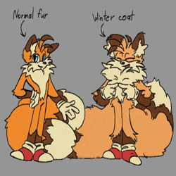 Size: 1000x1000 | Tagged: safe, artist:yu-melon, miles "tails" prower, 2024, duality, english text, fluffy, grey background, older, simple background, smile, solo, standing, winter coat