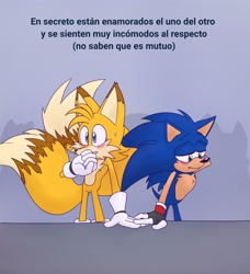 Size: 1870x2048 | Tagged: safe, artist:jeffydust, miles "tails" prower, sonic the hedgehog, 2024, abstract background, aged up, blushing, chest fluff, duo, gay, holding hands, lidded eyes, looking offscreen, older, one fang, shipping, smile, sonic x tails, spanish text, standing, sweatdrop