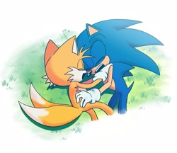 Size: 1667x1440 | Tagged: safe, artist:kuteun0, miles "tails" prower, sonic the hedgehog, 2022, cute, duo, eyes closed, gay, grass, lying down, lying on side, mouth open, outdoors, shipping, smile, sonic x tails