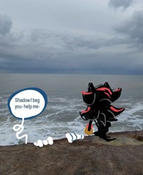 Size: 1079x1323 | Tagged: safe, artist:valenrepetto, shadow the hedgehog, sonic the hedgehog, 2024, duo, english text, ocean, photographic background, sitting, speech bubble, water