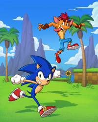 Size: 2800x3499 | Tagged: safe, artist:isamirandaart, sonic the hedgehog, crash bandicoot, crossover