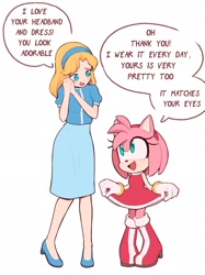 Size: 1672x2231 | Tagged: safe, artist:moontoonsy, amy rose, maria robotnik, dialogue