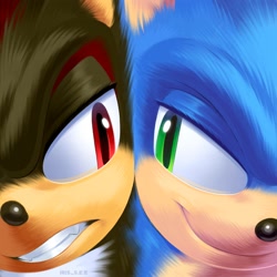 Size: 2000x2000 | Tagged: safe, artist:iris_s_e_e, shadow the hedgehog, sonic the hedgehog, sonic the hedgehog 3 (film), 2024, clenched teeth, duo, lineless, looking at each other, smile
