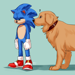 Size: 2048x2048 | Tagged: safe, artist:solar socks, ozzy the dog, sonic the hedgehog (2020), duo, literal animal, looking at them, looking down, question mark, sad, shadow (lighting), simple background, standing, turquoise background