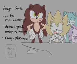 Size: 1200x1000 | Tagged: safe, artist:clgz_sonic, sonic the hedgehog, 2024, crossover, english text, grey background, group, inside out, korean text, recolor, self paradox, simple background, smile, standing