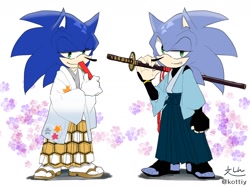 Size: 1600x1200 | Tagged: safe, artist:kottiy29, sonic the hedgehog, alternate outfit, duo, hand fan, holding something, lord sonic, self paradox, smile, sonic & friends, sword, white background