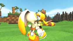 Size: 1920x1080 | Tagged: safe, artist:dan-player, cream the rabbit, marine the raccoon, green hill zone, 3d, abstract background, daytime, duo, eyes closed, grass, holding them, kiss, lesbian, lidded eyes, looking at them, maream, outdoors, shipping, standing