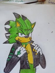 Size: 600x800 | Tagged: safe, artist:theoneandonlycactus, oc, oc:cactus the hedgehog, hedgehog, fingerless gloves, gloves, green eyes, green fur, jacket, male, traditional media